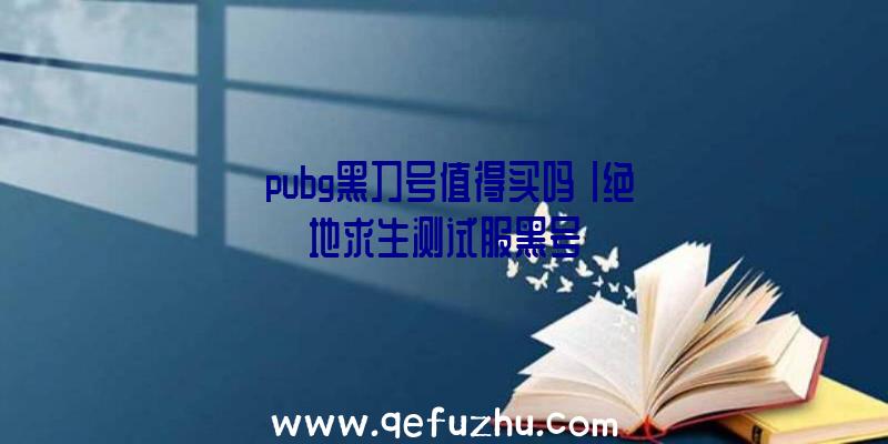 「pubg黑刀号值得买吗」|绝地求生测试服黑号